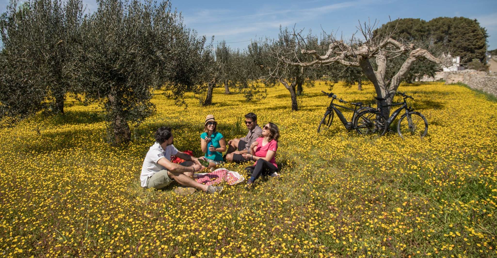 e-bike ring tour tussen Locorotondo en Martina Franca - Hizvo
