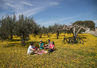 Gira en bicicleta electrónica entre Locorotondo y Martina Franca - Hizvo