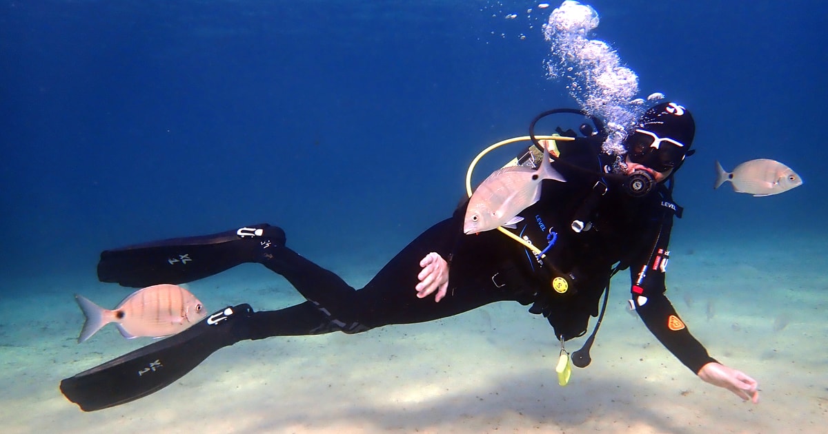 Lanzarote Beginner Diving Course Costa Teguise (2 dives) GetYourGuide