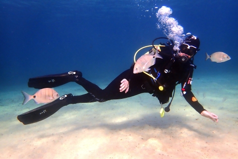 Lanzarote: kurs nurkowania dla początkujących w małych grupach (2 nurkowania)