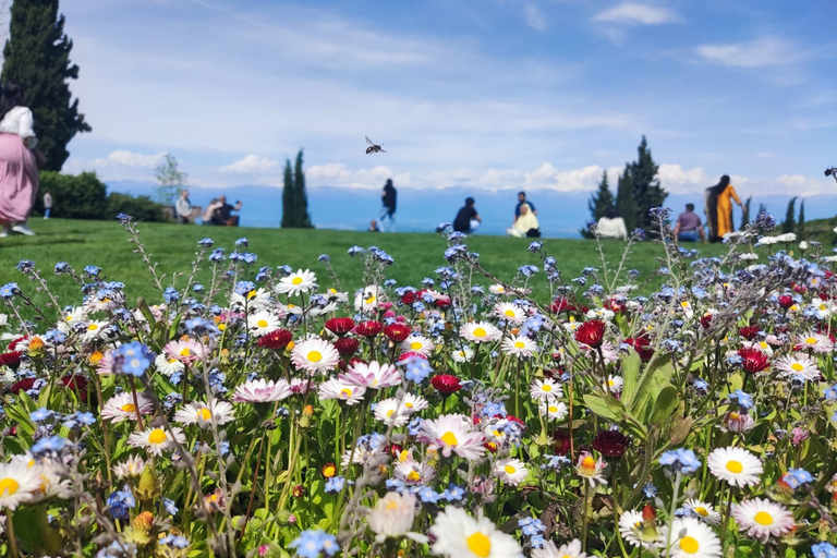 Tiflis Excursión a la región vinícola de Kakheti con 8 catas de vino