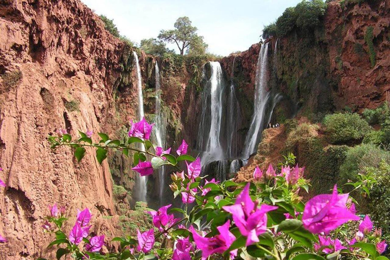 Viagem de um dia às cachoeiras de Ouzoud