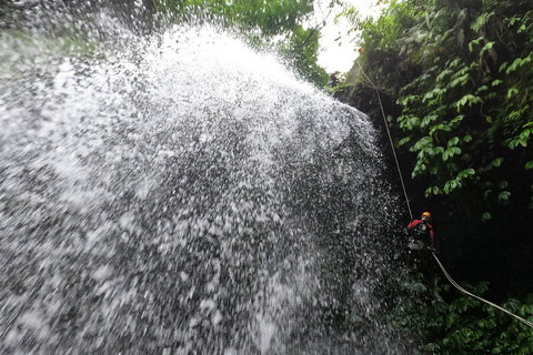 Bali Kanotpaddling: Asri kanjon