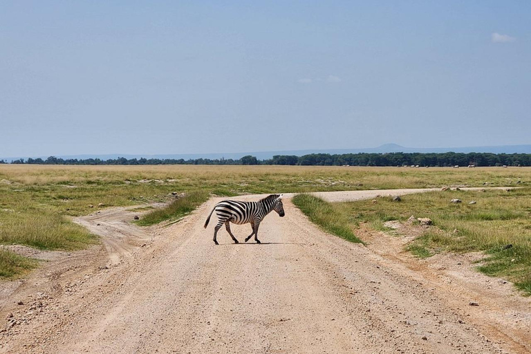 Nairobi: tour privato di 2 giorni del Parco Nazionale Amboseli