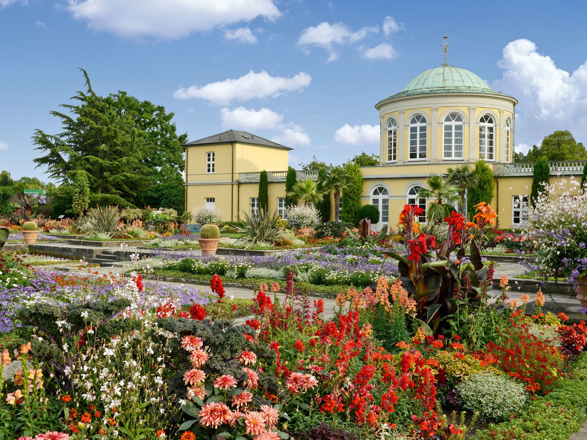 Hannover: Geführte Tour durch den Berggarten