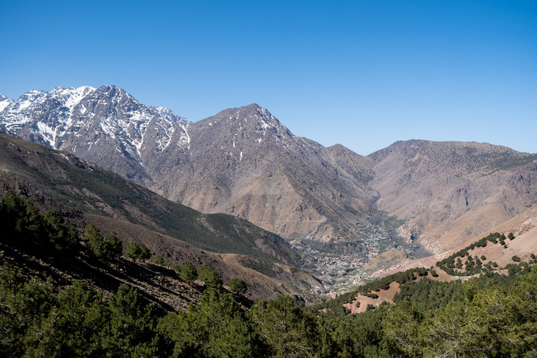 Da Marrakech: Escursione di un giorno sulla cima del Talamrout dell&#039;AtlanteDa Marrakesh: Escursione di un giorno sulla vetta del Talamrout, sulle montagne dell&#039;Atlante