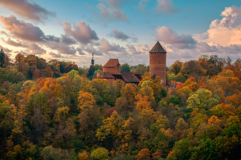 Z Rygi: Prywatna całodniowa wycieczka Turaida, Sigulda i Cesis