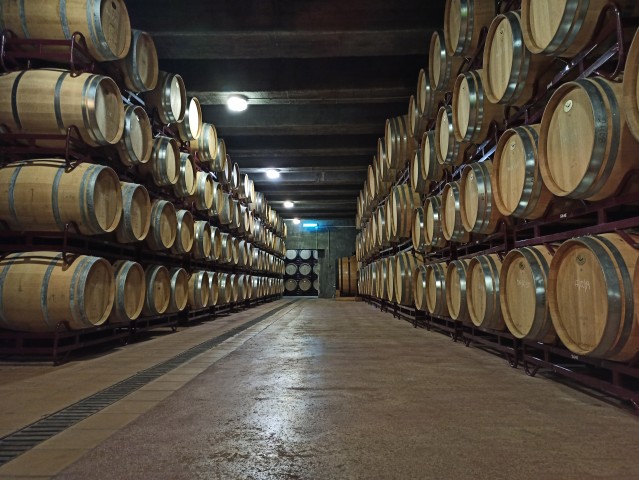 Visit Alfaz del Pi Gold Experience-Winery Visit with Tasting in Benidorm, Spain