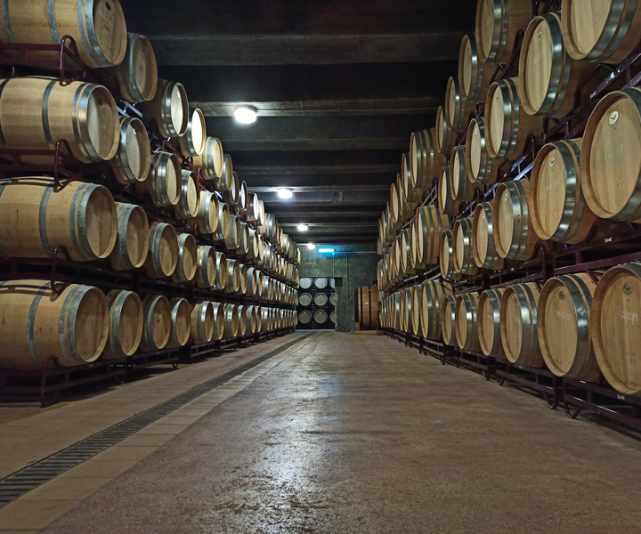 Alfaz del Pi: Gold Experience-Winery Visit with Tasting