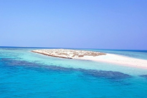 Port Ghalib : Excursion de plongée en apnée dans les îles Hamata avec déjeuner