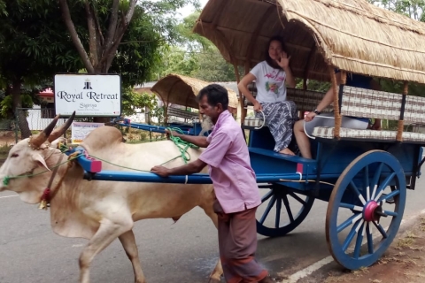 Desde Hikkaduwa : a Sigiriya y Dambulla Excursión de un día