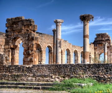 Viagem privada de 1 dia a Volubilis, Moulay Idriss e Meknes