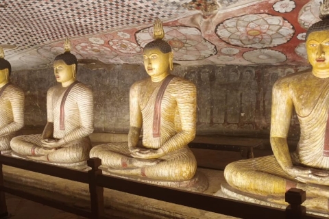 De Hikkaduwa : visite d'une journée à Sigiriya et Dambulla