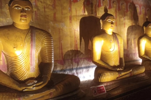 De Hikkaduwa : visite d'une journée à Sigiriya et Dambulla