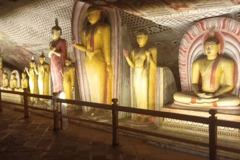 Desde Hikkaduwa : a Sigiriya y Dambulla Excursión de un día