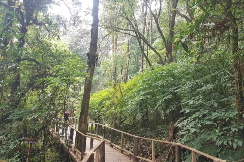 Chiang Mai: Trekking i przygoda w Parku Narodowym Doi Inthanon