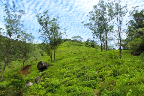 Explorer les Knuckles : Randonnée dans les joyaux cachés du Sri Lanka