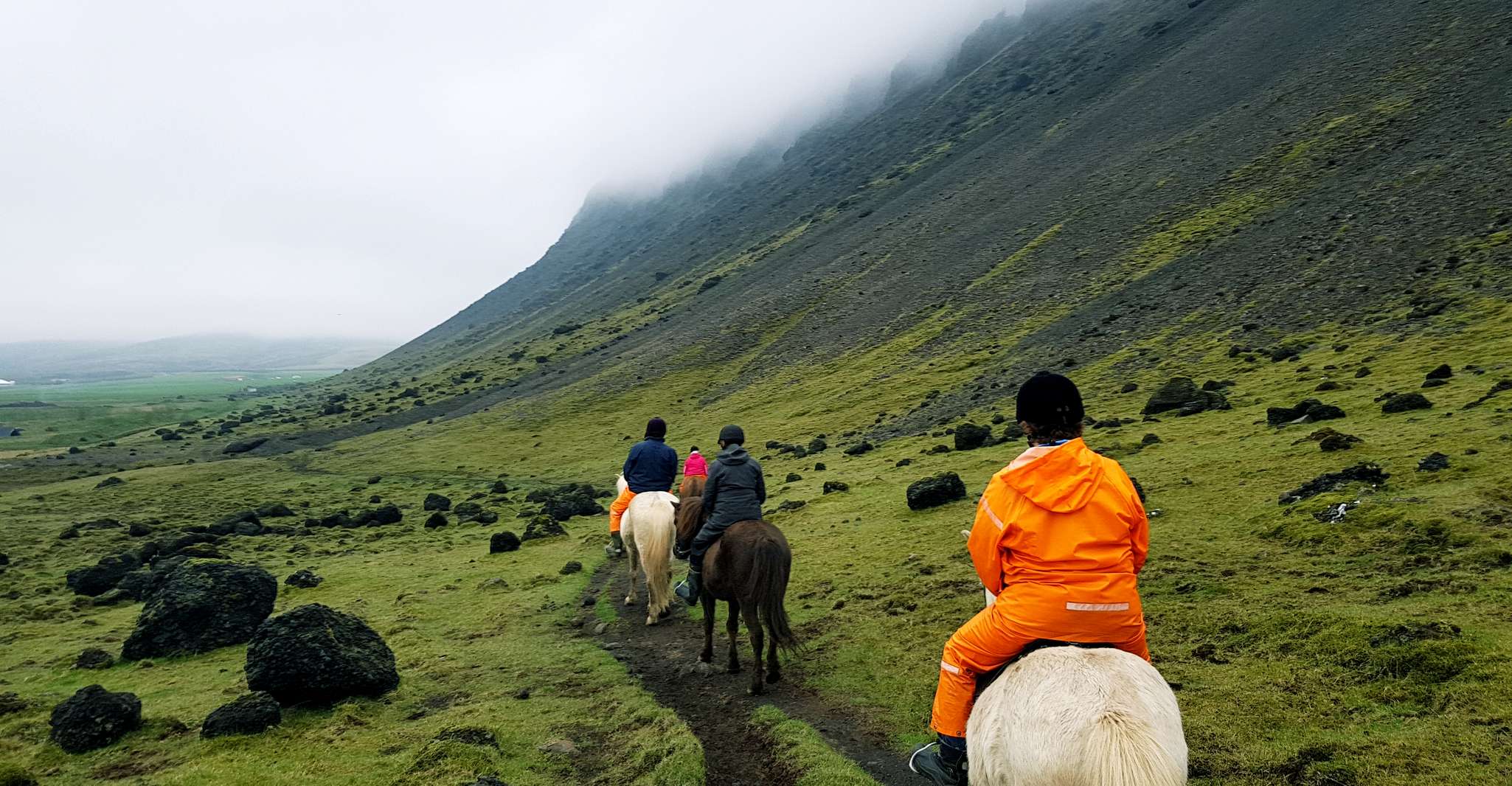 Ölfus, Horse Riding Tour - Housity