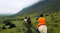 Ölfus, Horse Riding Tour - Housity
