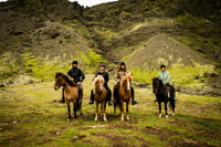 Ölfus, Horse Riding Tour - Housity