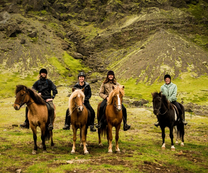 Ölfus - Escursione a cavallo in campagna