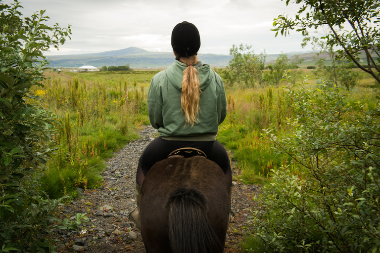 Excursión a Caballo en Reykjadalur (Valle de las Aguas Termales)