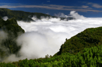 Madère , Vallée des Nonnes - 