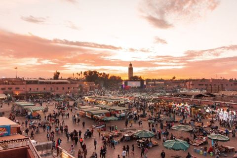 Marrakesz Całodniowa wycieczka Z Casablanki z przejażdżką na wielbłądzie