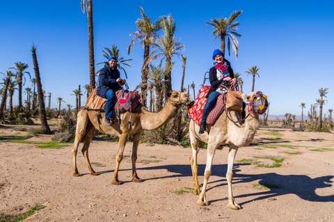 Marrakech Palmeraie : Camel Ride in the Oasis with Tea Marrakech Camel Ride in the Oasis Palmeraie