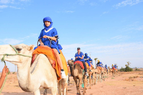 Kameelrit in Marrakesh in de oase Palmeraie