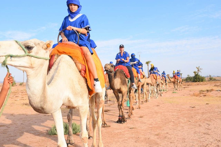 Kameelrit in Marrakesh in de oase Palmeraie