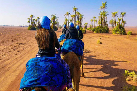 Marrakech : Camel Ride in Palmeraie with Tea BreakMarrakech Camel Ride in the Oasis Palmeraie