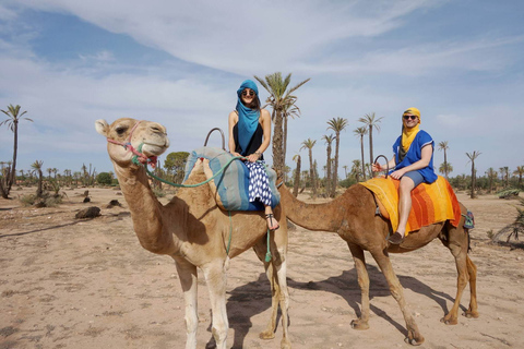 Marrakesch Kamelritt in der Oase Palmeraie