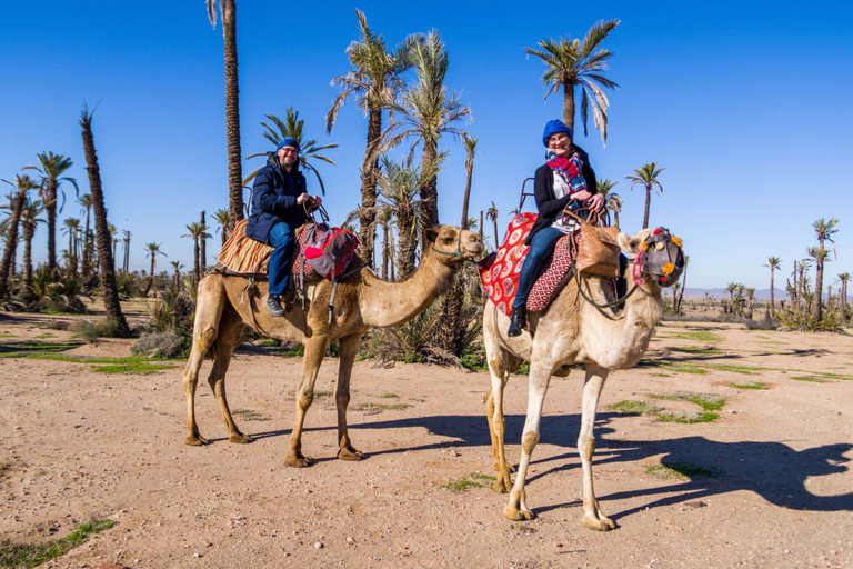 Kameelrit in Marrakesh in de oase Palmeraie