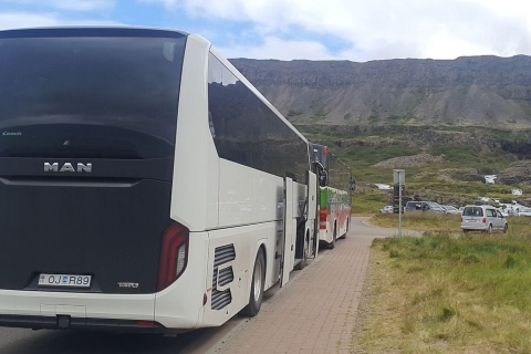 From Isafjordur: Dynjandi Waterfall Guided Day Trip by Bus