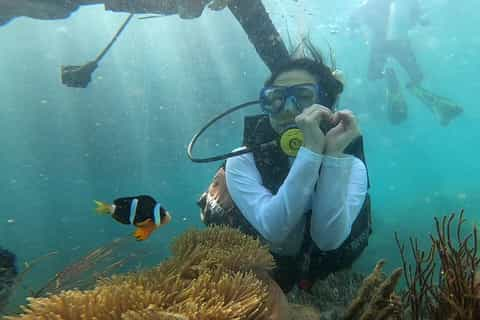 Coral Reef Snorkeling and Floating Bar Party