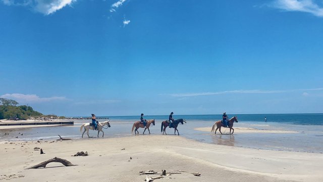 Miami: Beach Horse Ride &amp; Nature Trail