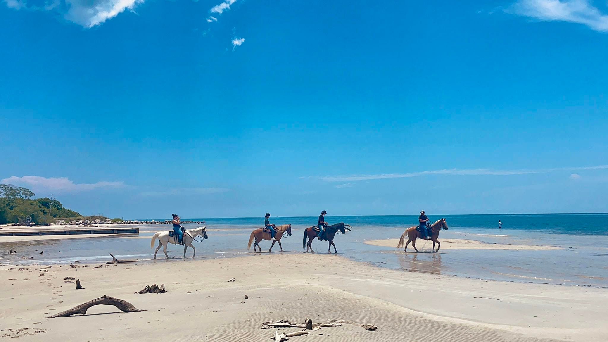 Miami: Strandausritt & Naturpfad