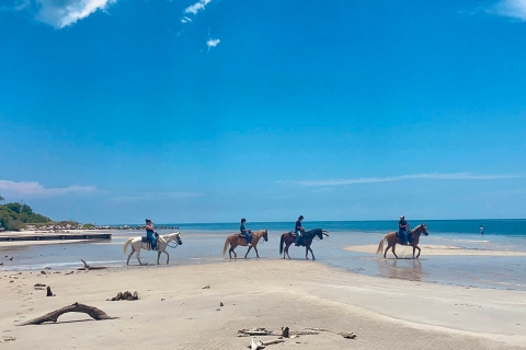 Miami: paardrijden op het strand en natuurpad