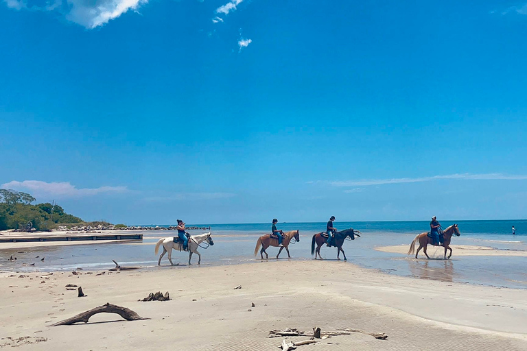 Miami : Promenade à cheval sur la plage et sentier de découverte de la nature