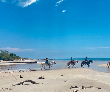Miami: passeio a cavalo na praia e trilha natural