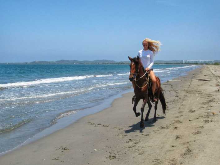 Майами: прогулка на лошадях по пляжу и природная тропа