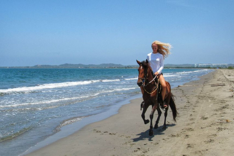 Miami : Promenade à cheval sur la plage et sentier de découverte de la nature