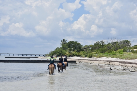 Miami: Paseo a Caballo por la Playa y Sendero Natural