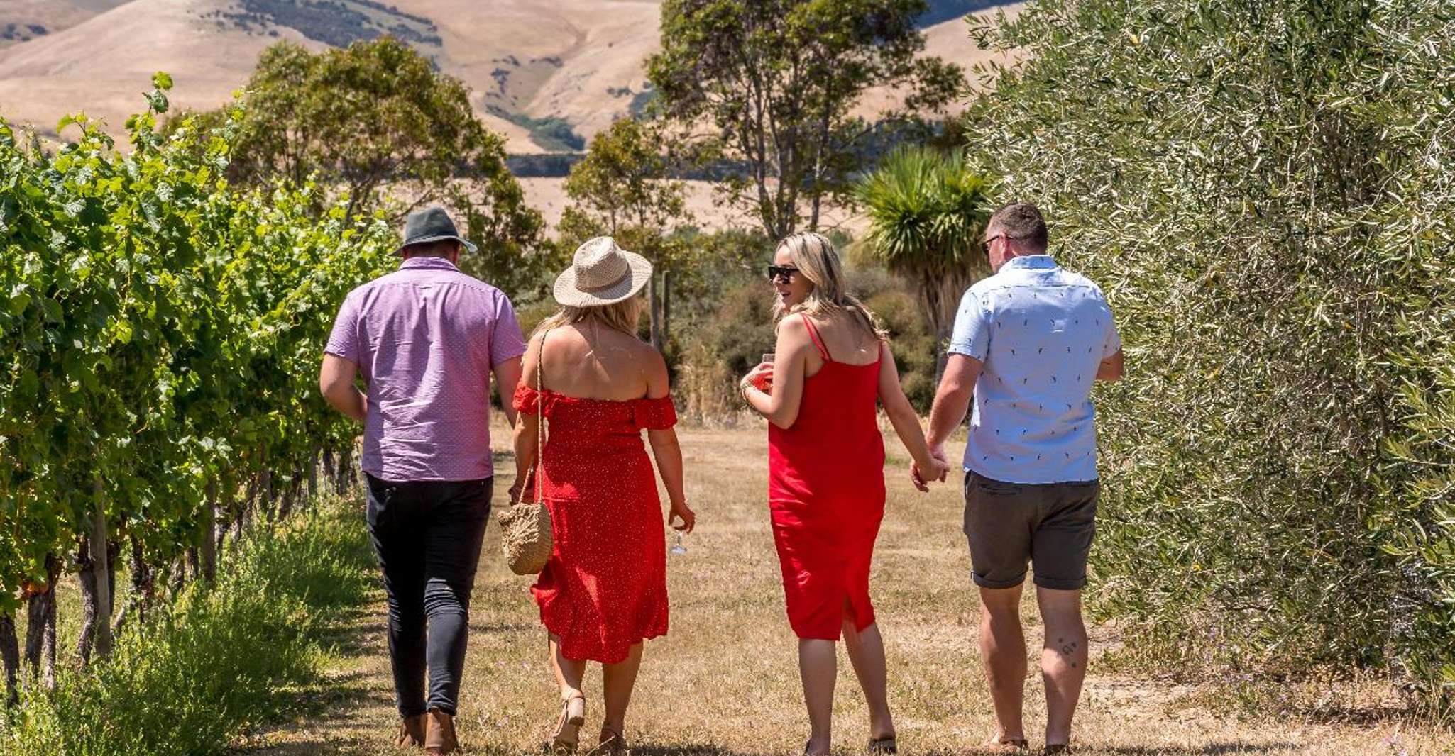 Da Christchurch, tour del vino di un giorno intero con pranzo - Hizvo