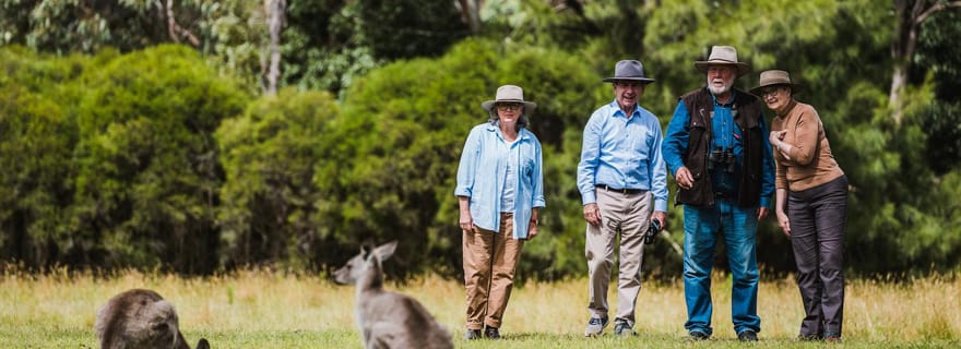 Canberra : circuit découverte des kangourous et des koalas