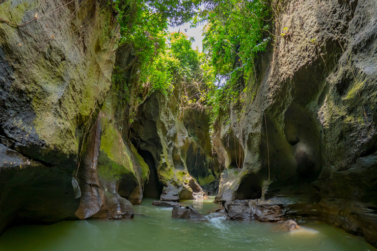 Bali: prywatna wycieczka czarterowa po BaliPrywatna wycieczka czarterowa po centrum Bali