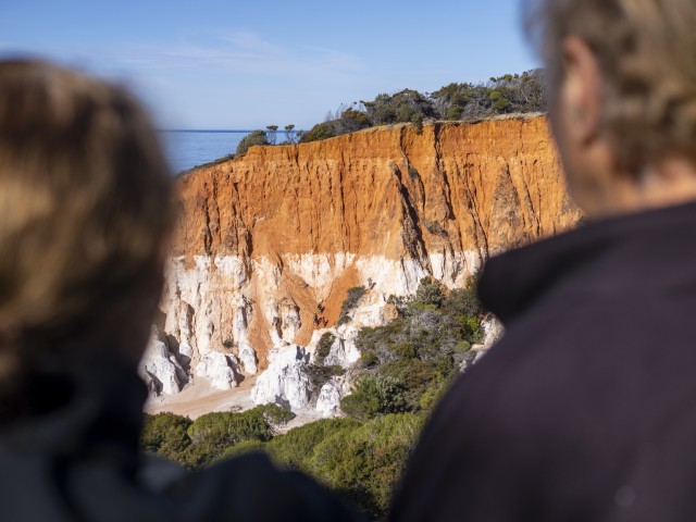 Visit Eden 2 Hour highlights tour, nature, beaches and lookouts in Merimbula