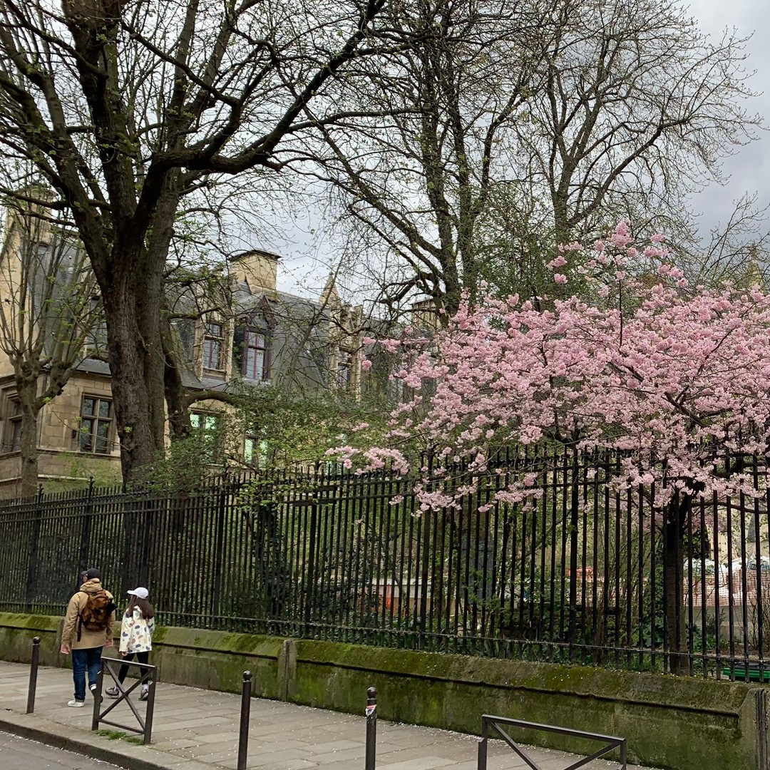 Galerie média