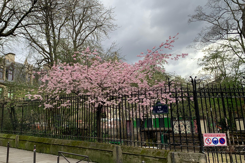 Paris : visite de Notre-Dame et promenade dans l'île de la Cité ou le quartier latinVisite de l'intérieur de la cathédrale Notre-Dame et promenade dans l'île de la Cité